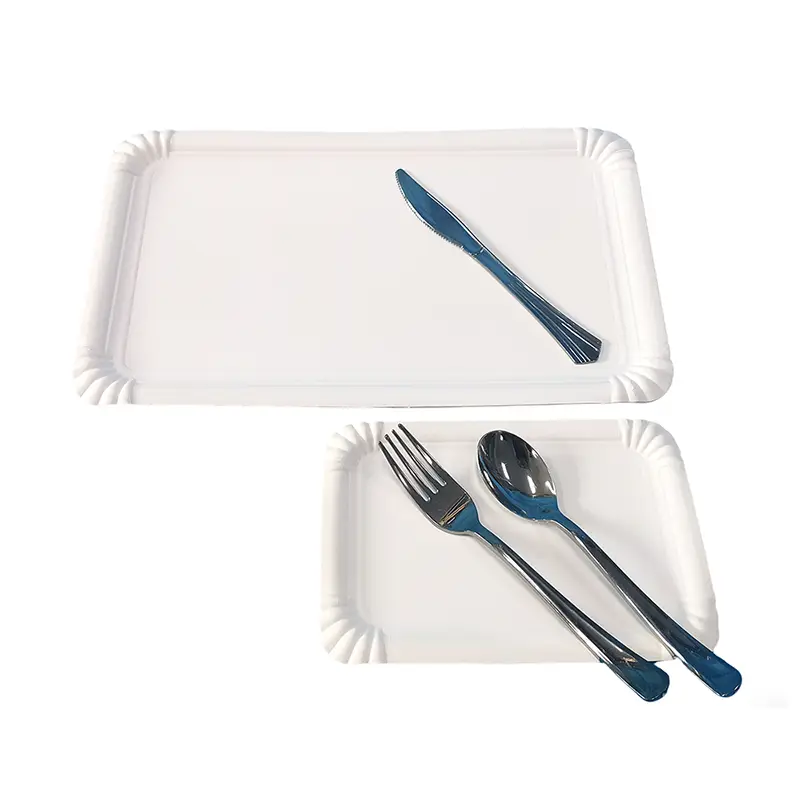 আয়তক্ষেত্রাকার সাদা পার্টি কেক পেপার প্লেট